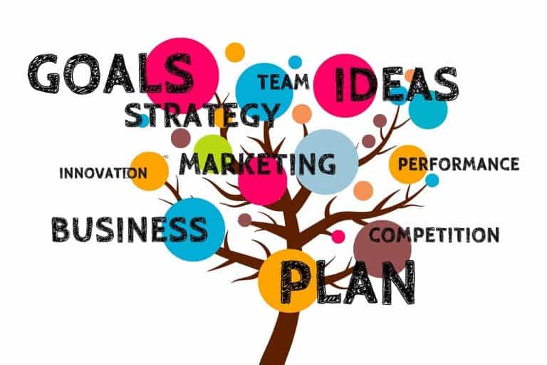 Business plan and strategies