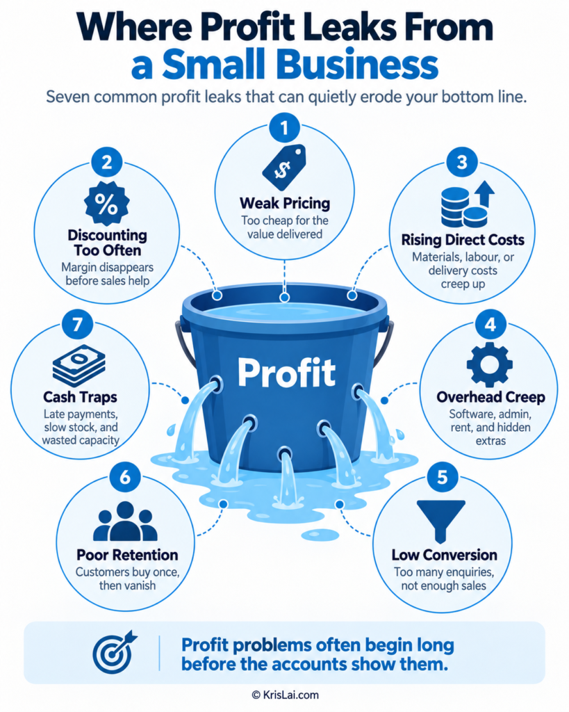 Profit engineering infographic showing where profit leaks from a small business including pricing, discounting, waste, low margins, weak sales conversion, hidden costs, and slow cash flow